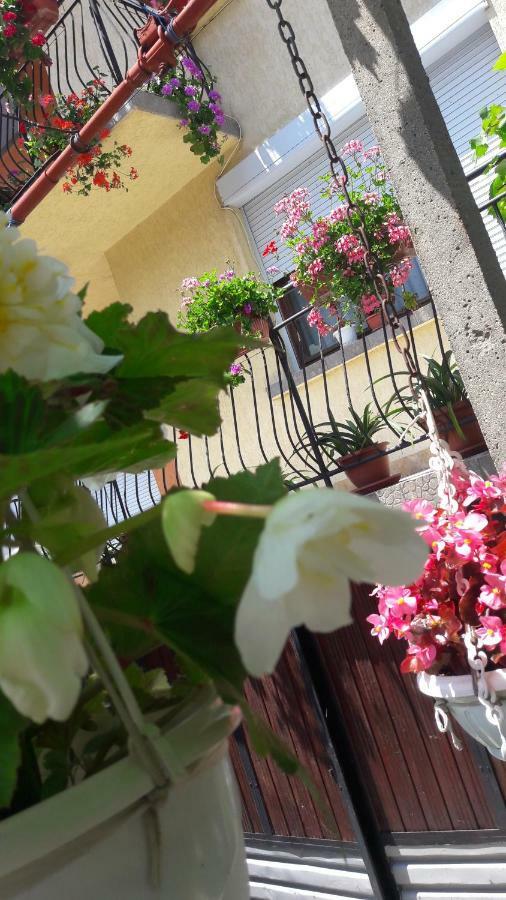 Guest Rooms Ider Sapareva Banya Εξωτερικό φωτογραφία