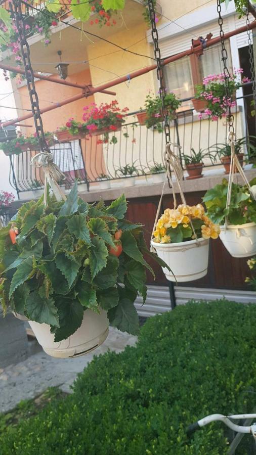 Guest Rooms Ider Sapareva Banya Εξωτερικό φωτογραφία